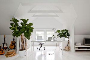 Studio e musica