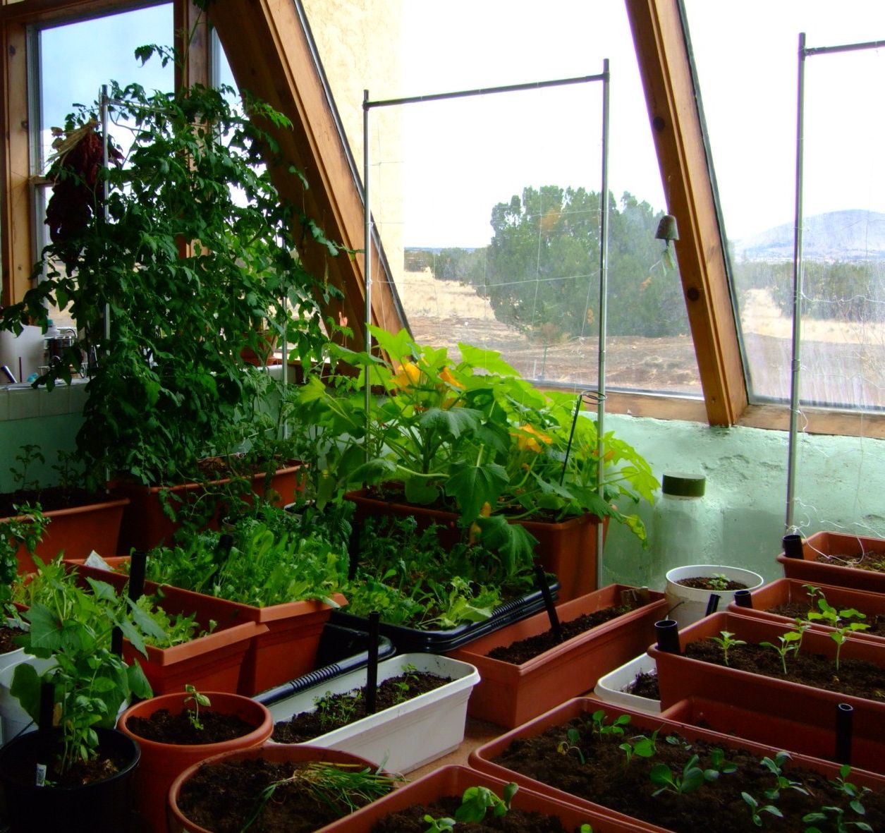 indoor-gardening-plant-in-attic