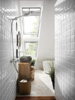 bagno lucido