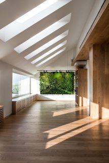 open space