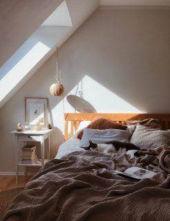 camera luce