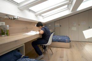 studiare sotto la luce