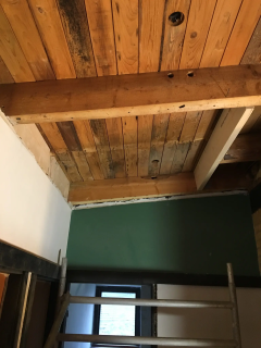 muffa-soffitto