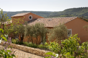 esterno di una casa mediterranera tra ulivi con tetto in tegole e finestre per tetti esterno di una casa mediterranera tra ulivi con tetto in tegole e finestre per tetti